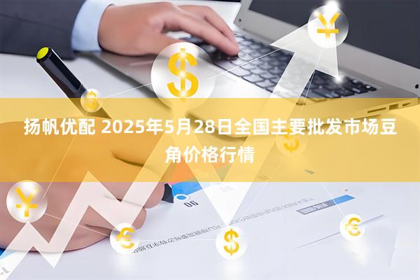 扬帆优配 2025年5月28日全国主要批发市场豆角价格行情