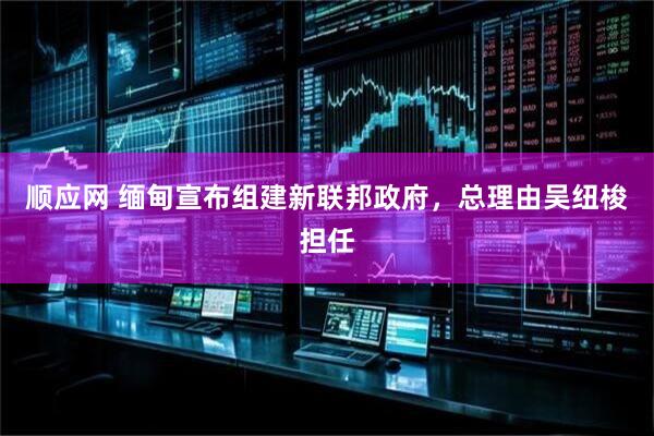 顺应网 缅甸宣布组建新联邦政府，总理由吴纽梭担任