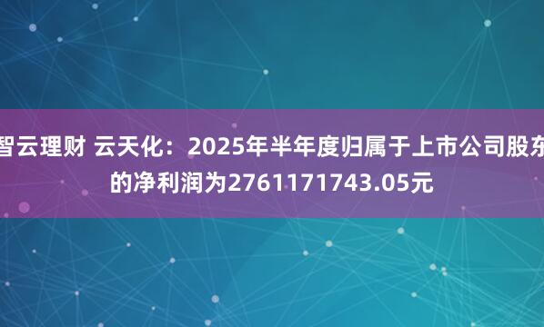 智云理财 云天化：2025年半年度归属于上市公司股东的净利润为2761171743.05元