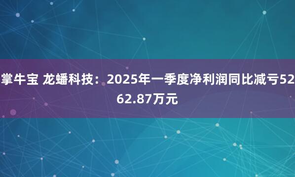 掌牛宝 龙蟠科技：2025年一季度净利润同比减亏5262.87万元