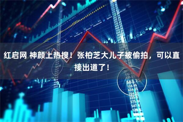 红启网 神颜上热搜！张柏芝大儿子被偷拍，可以直接出道了！